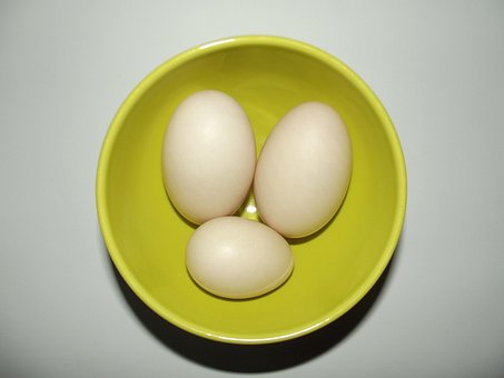 오리알