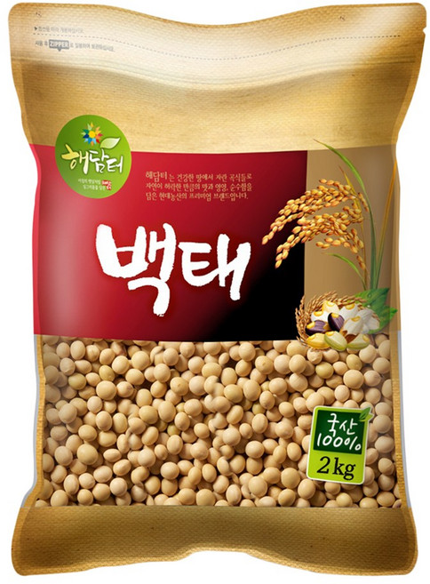 대두 — 현대농산 국산 백태 메주콩 두유콩 콩국수용 2kg, 1개