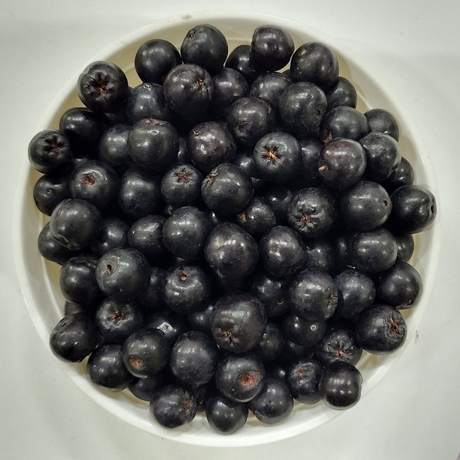 백운팜 꼭지제거 햇 아로니아 생과(급냉) 3kg 5kg 1kg씩 진공포장 에어세척, 1개, 1kgx3생과