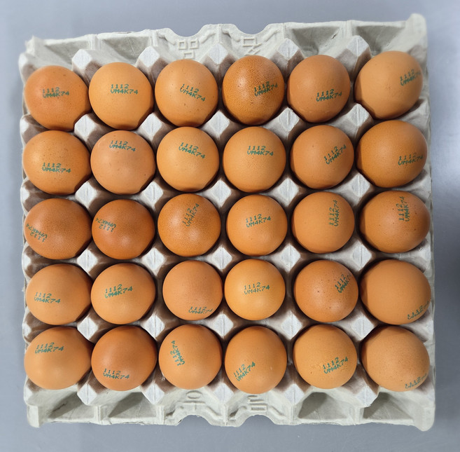 달걀 — [알부자집] 무항생제계란 대란(52g~59g), 30구, 2개