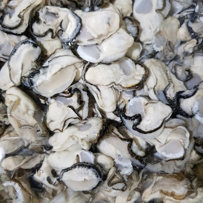 통영 생굴 최상급 (오후 6시 이전 주문시 당일발송), 1개, 1kg